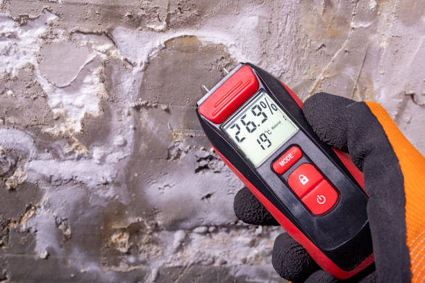 Best Toxic Mold Removal  in Ellington, MO