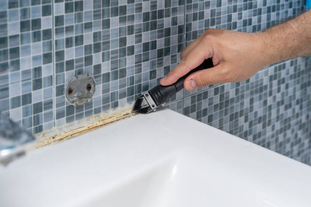 Best Mold Removal Process  in Ellington, MO